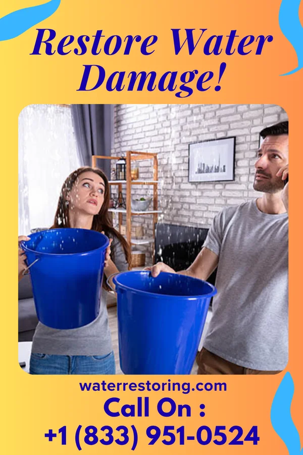 water restoration Direct Disaster Cleanup Co McIntosh