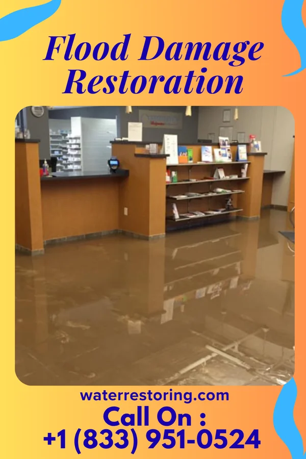 Flood Damage Restoration in McIntosh, SD