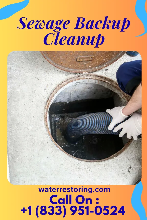 Sewage Backup Cleanup in McIntosh, SD