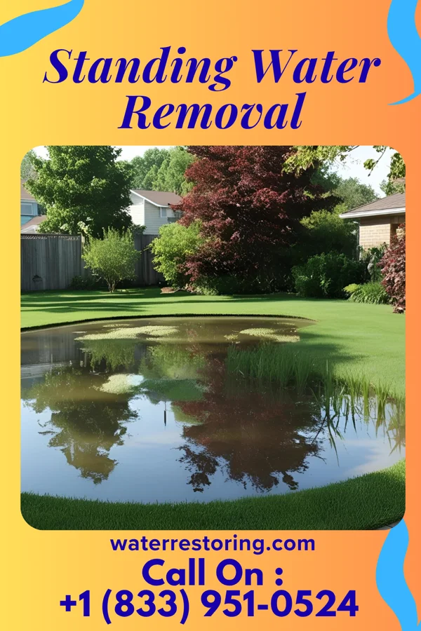 Standing Water Removal in McIntosh, SD